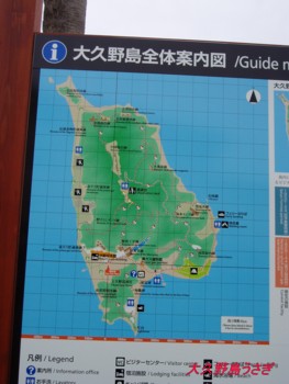 大久野島うさぎ20120429・5.jpg