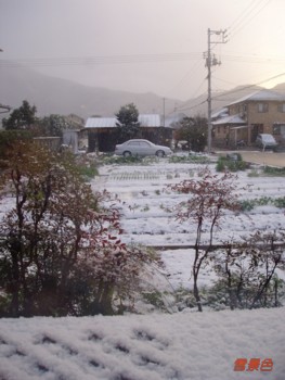 雪景色111225・1.jpg